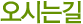 보득솔